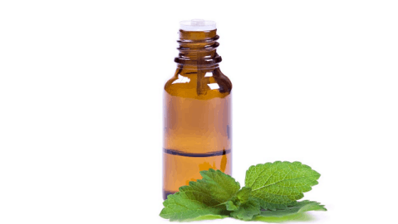 peppermint essential oil