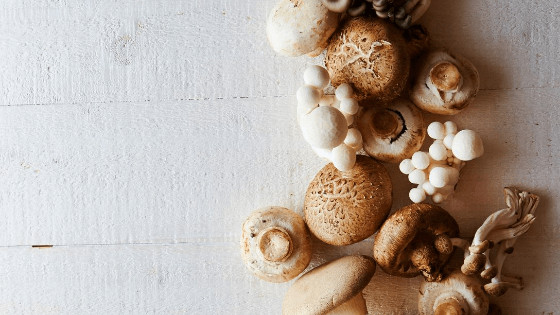 top 3 mushrooms for health