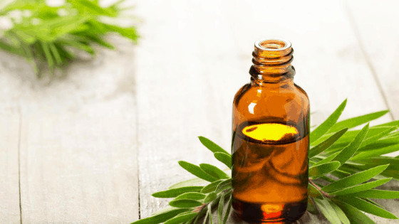 benefits of tea tree oil