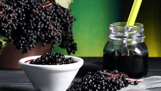 homemade elderberry syrup, benefits of elderberry