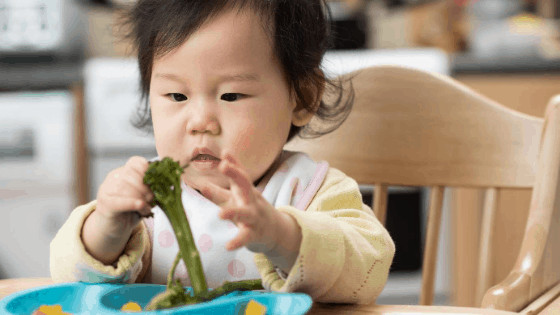 Introducing Baby To Solids