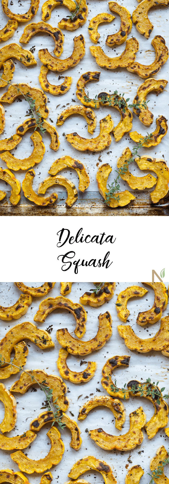 delicata squash