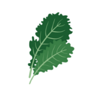 green plant illustration